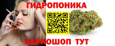 стафф Краснознаменск