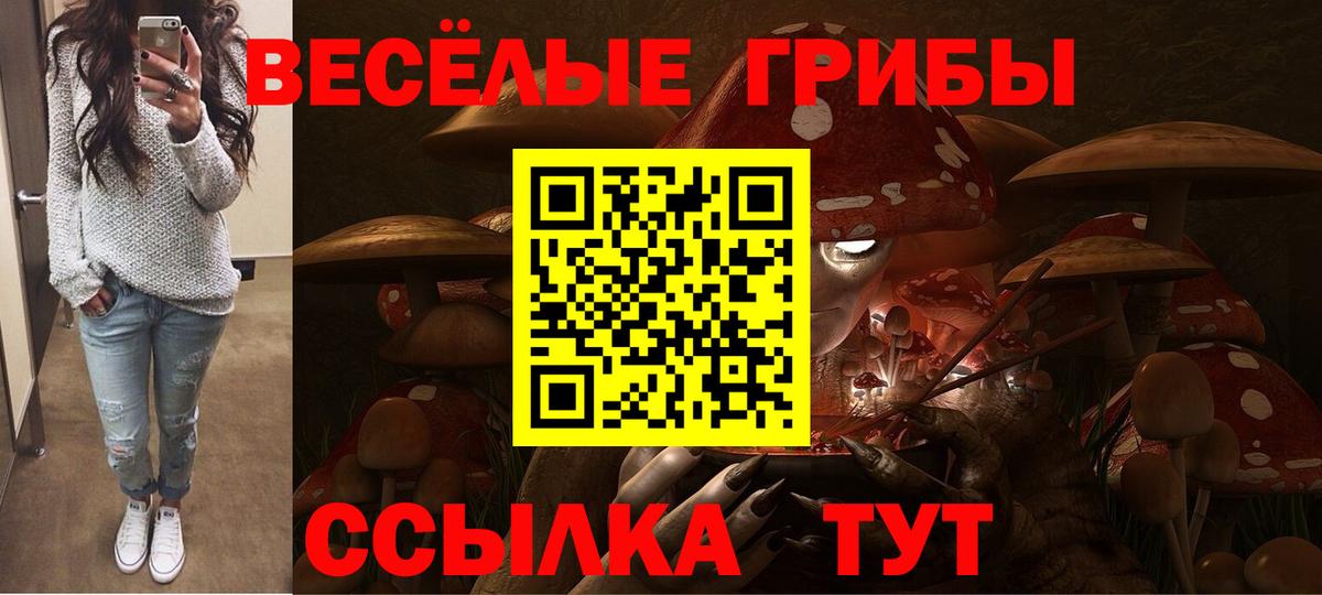 Галлюциногенные грибы Cubensis  купить наркоту  Кемерово  Вход с VPN 